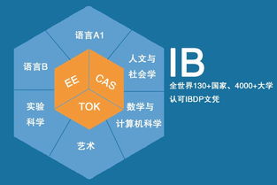 国际文凭(IB)课程体系分析
