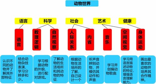 多元智能课程实施的主要形式