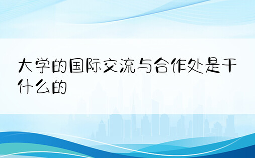 大学的国际交流与合作处是干什么的