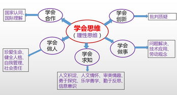 题目：同伴教学在课堂教学中的应用与效果