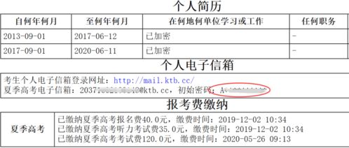 学科自主作业怎么填写，学科自主作业填写指南