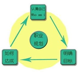 如何在职业规划中进行行业分析