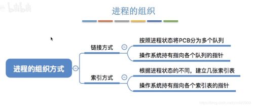 国际组织相关经历