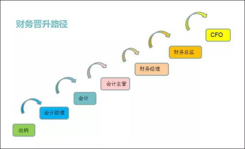 职业生涯晋升路径