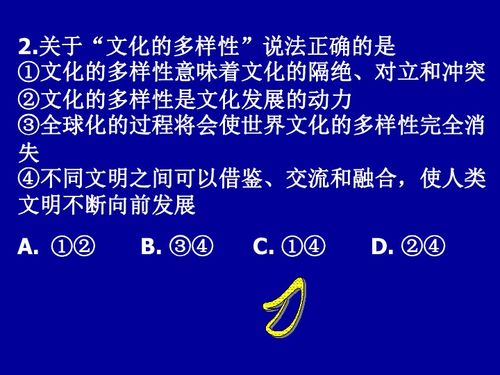 多元文化课程的名词解释