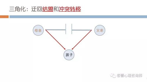 家庭代际关系理论包括