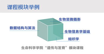 跨学科融合的好处