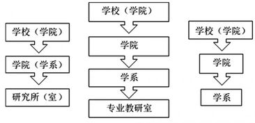 跨学科实验项目促进学科融合发展的研究