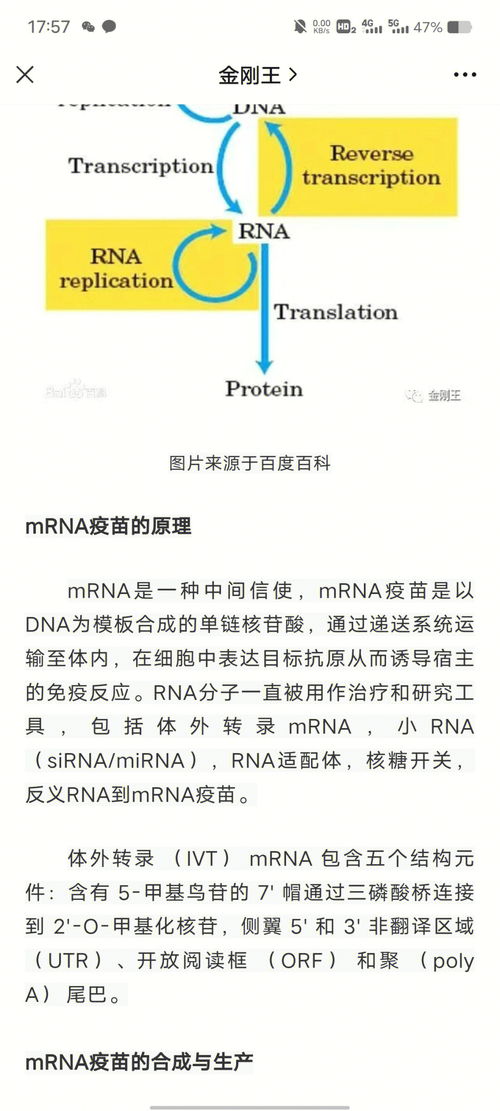 生物科学跨专业考医学