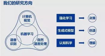 比较教育的研究领域包括哪些