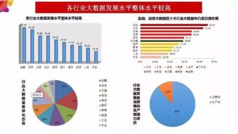 大数据评估报告