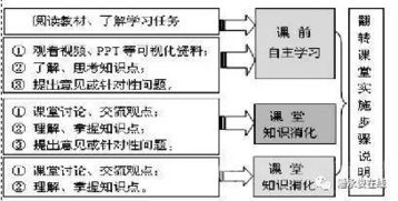 自主课堂教学环节