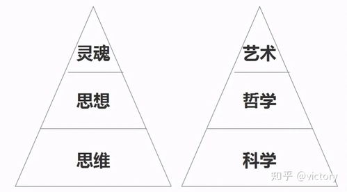 艺术和文化的区别与联系