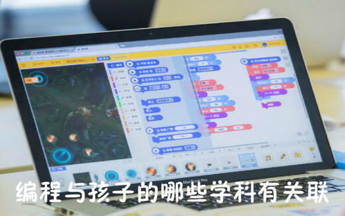 编程和什么学科有关