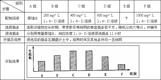 开设实验课的目的和意义