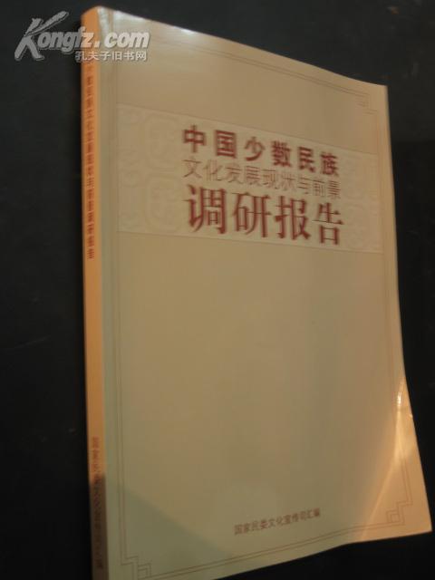 深入少数民族地区或者少数民族家庭调研报告