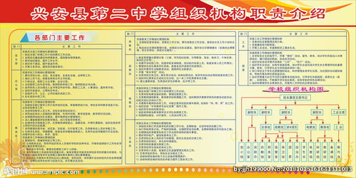 学校国际交流处职责