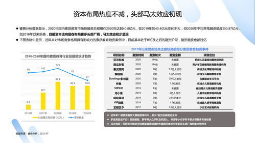 简述素质教育的理论要点