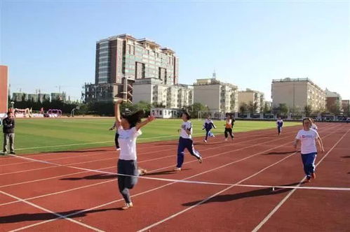 高中生对理想大学规划的看法